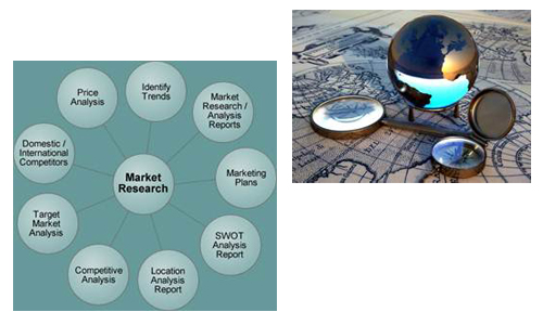 Market and Competitive Intelligence
